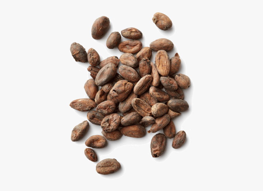 Cacao Png Image - Cacao Beans Transparent Background, Transparent Clipart