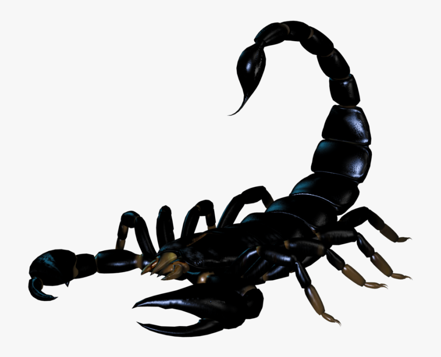 Scorpion Png Image - Scorpion Png, Transparent Clipart