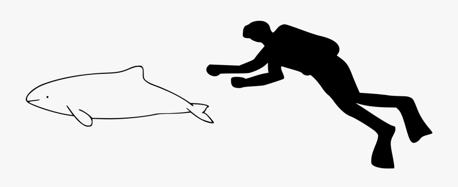 Wikipedia, The Free Encyclopedia - Pantropical Spotted Dolphin Size, Transparent Clipart