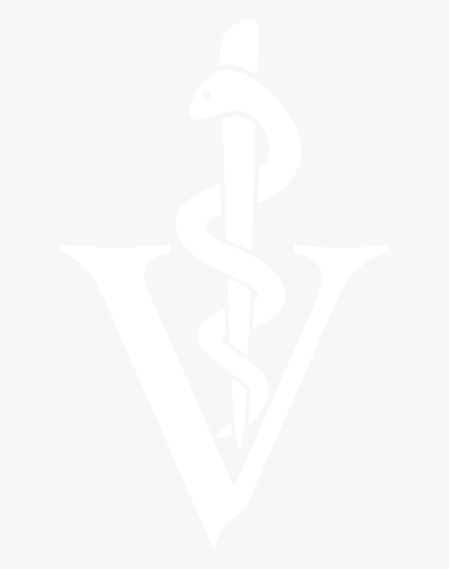 Png Black And White - Veterinary Symbol White, Transparent Clipart