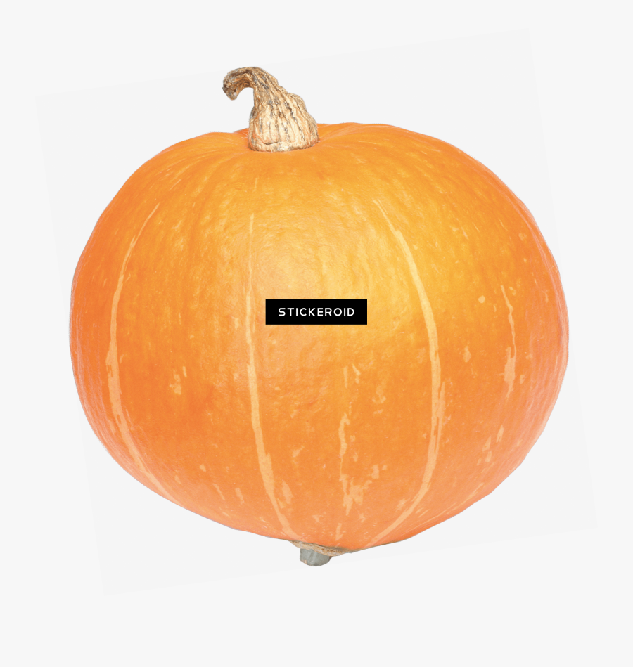 Transparent Whole Pumpkin Pie Clipart - Pumpkin, Transparent Clipart