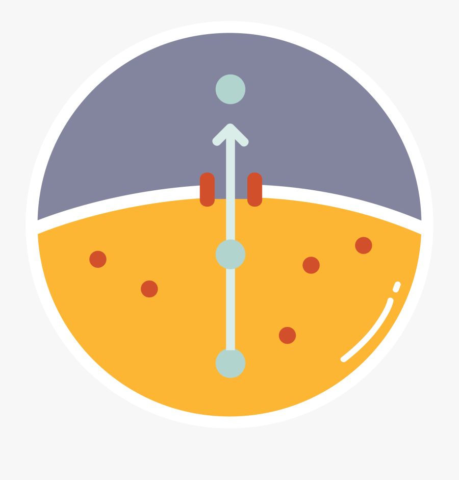 Team Calgary Igem Org, Transparent Clipart