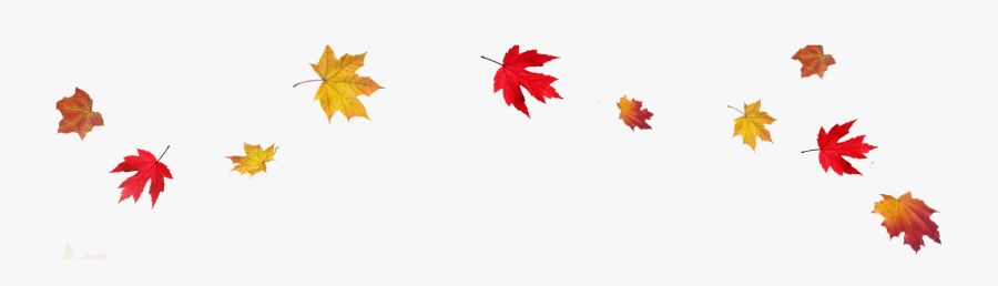 Border Fall Leaves Transparent Background, Transparent Clipart