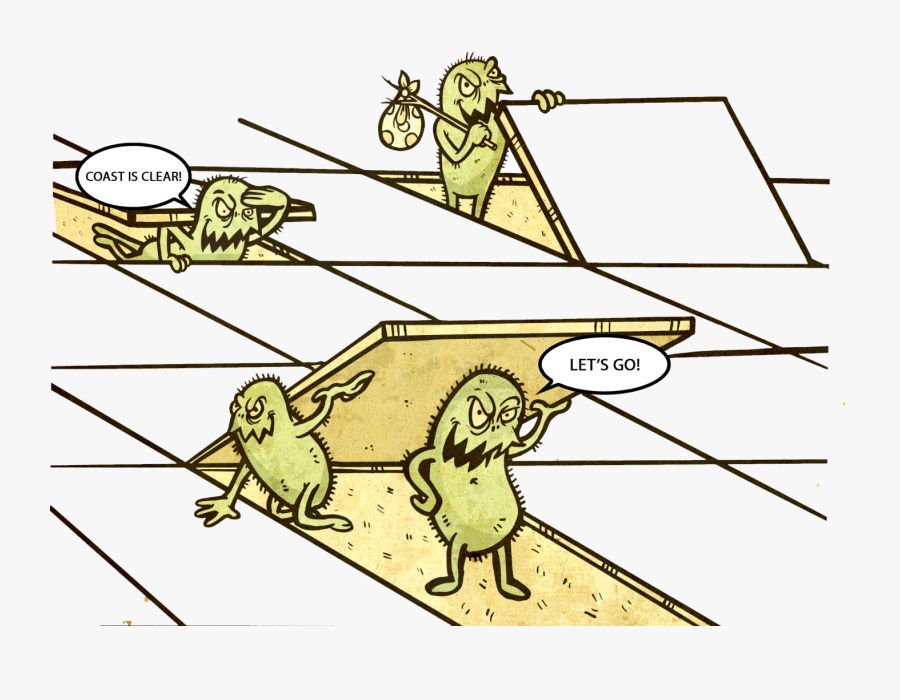 Bacteria Recolonization - Cartoon, Transparent Clipart