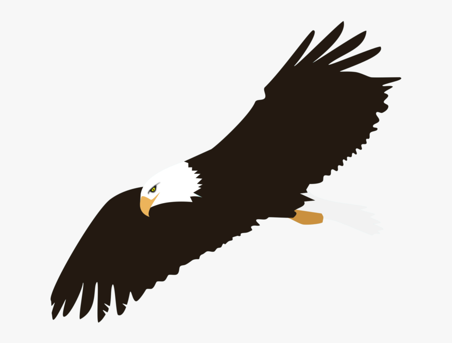 Bald Eagle Clip Art Portable Network Graphics Vector - Clip Art Bald Eagle Png, Transparent Clipart