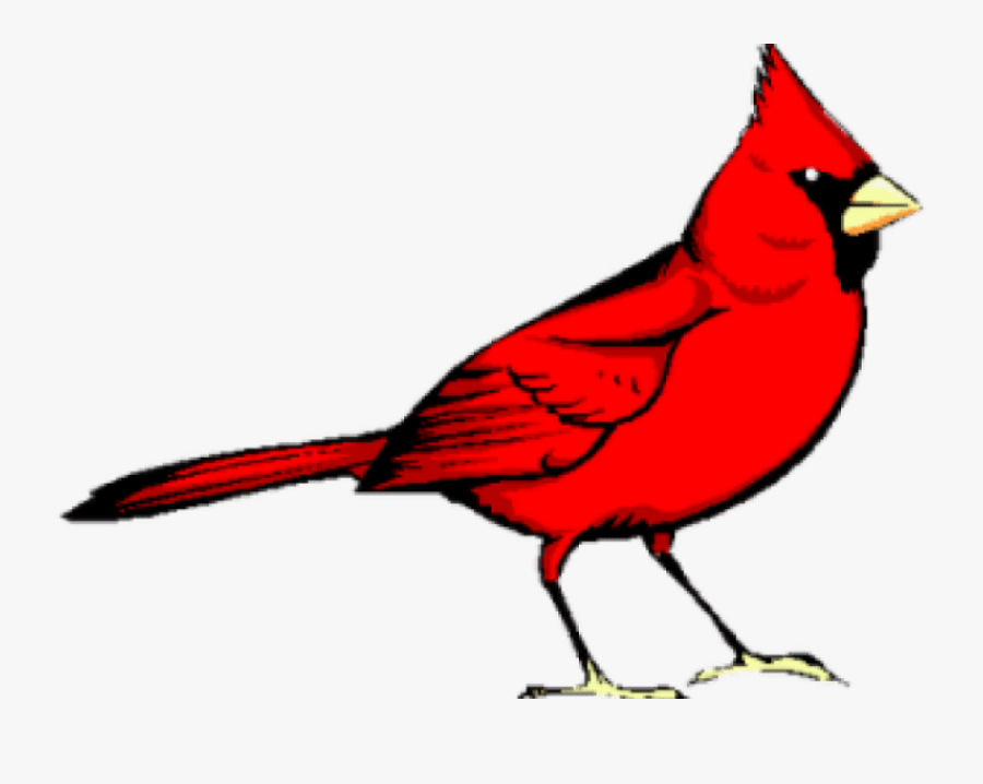 Graphic Freeuse Library Cardinal Clipart - Clip Art Cardinal Bird, Transparent Clipart