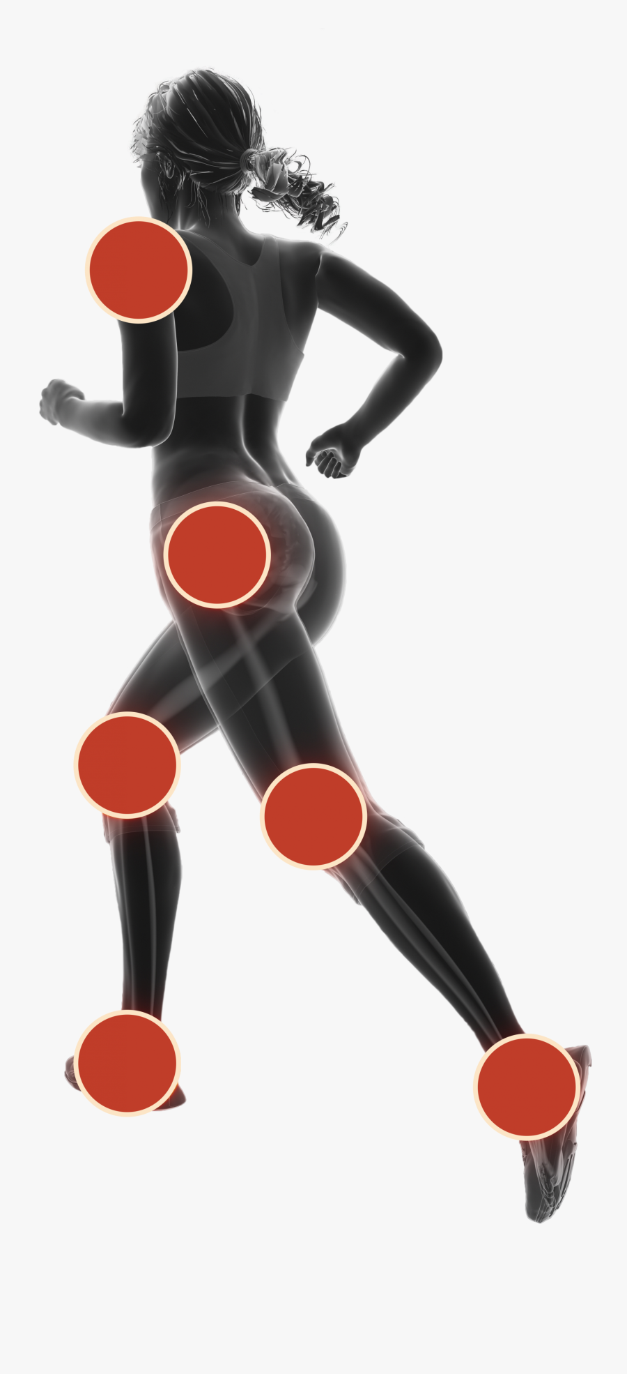 A Body Silhouette Of An Athlete With Points Depicting - Illustration, Transparent Clipart