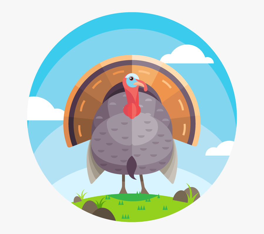 Beautiful Turkey Vector - وکتور لوگو بوقلمون, Transparent Clipart