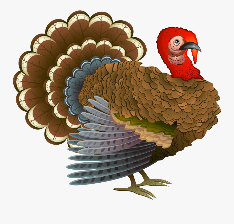 Transparent Turkey Clipart - Thanksgiving Turkey And Cornucopia, Transparent Clipart