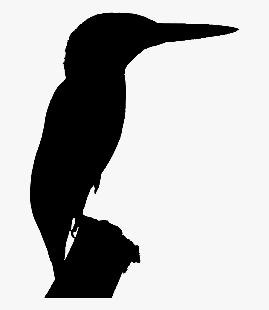 Silhouette Belted Kingfisher Clip Art - Kingfisher Silhouette Png, Transparent Clipart