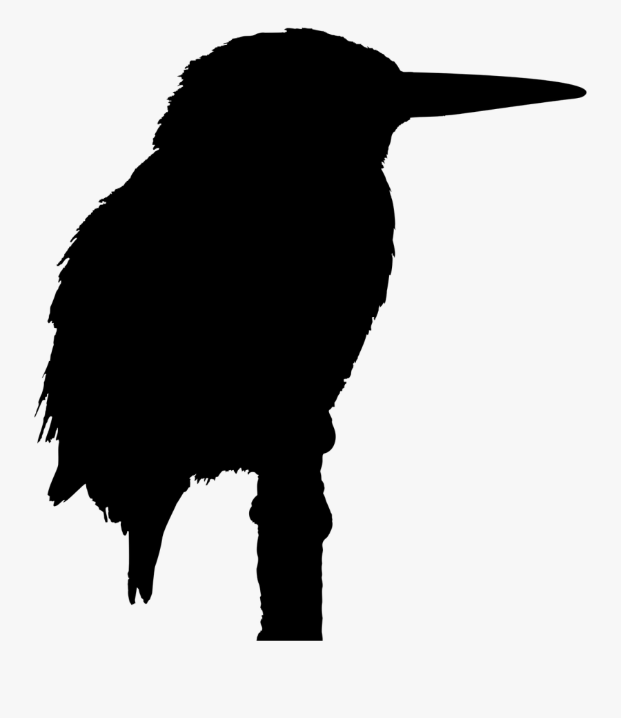 Big Bird Kingfisher Silhouette Drawing - Silhouette Of A Kingfisher, Transparent Clipart