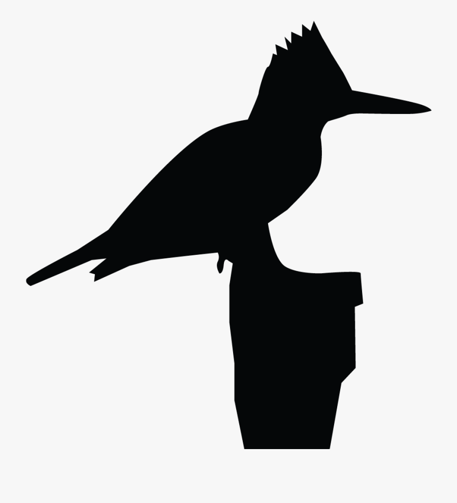 Belted Kingfisher Overview, All About Birds, Cornell - Belted Kingfisher Bird Png, Transparent Clipart