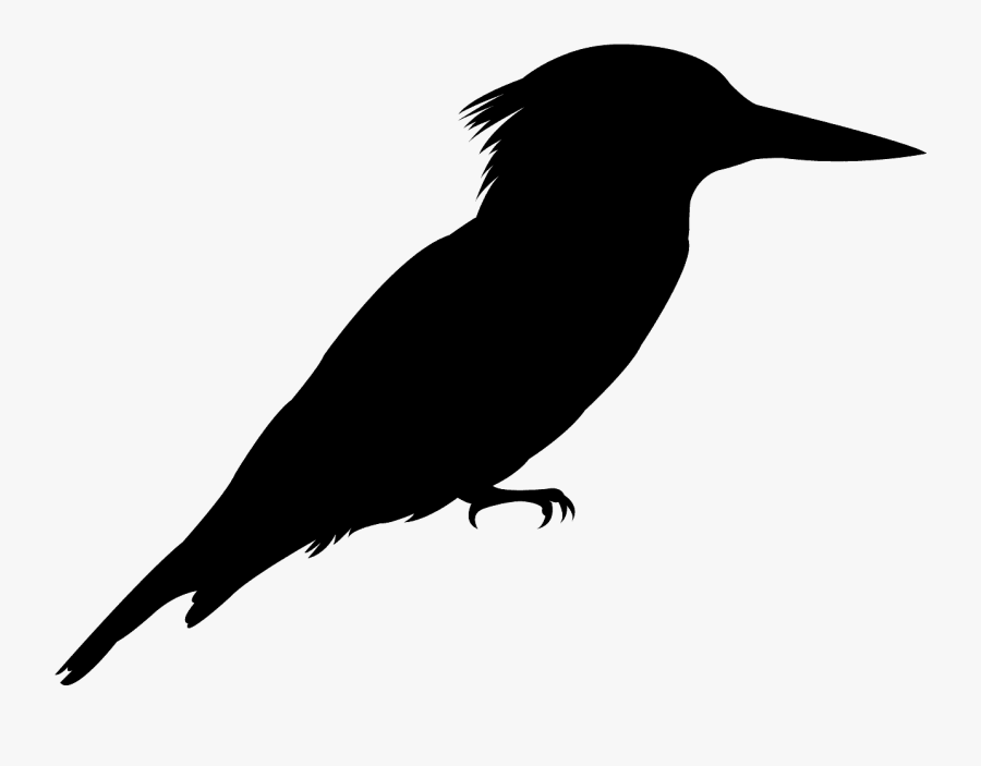 Kingfisher Silhouette, Transparent Clipart