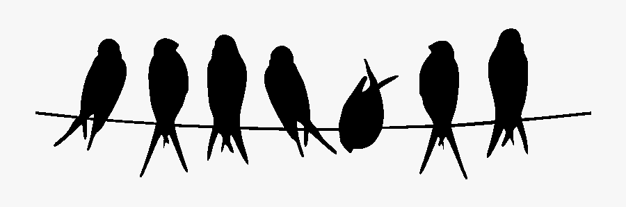 Bird Stencil Silhouette Owl Common Kingfisher - Dessin Oiseaux Sur Un Fil, Transparent Clipart