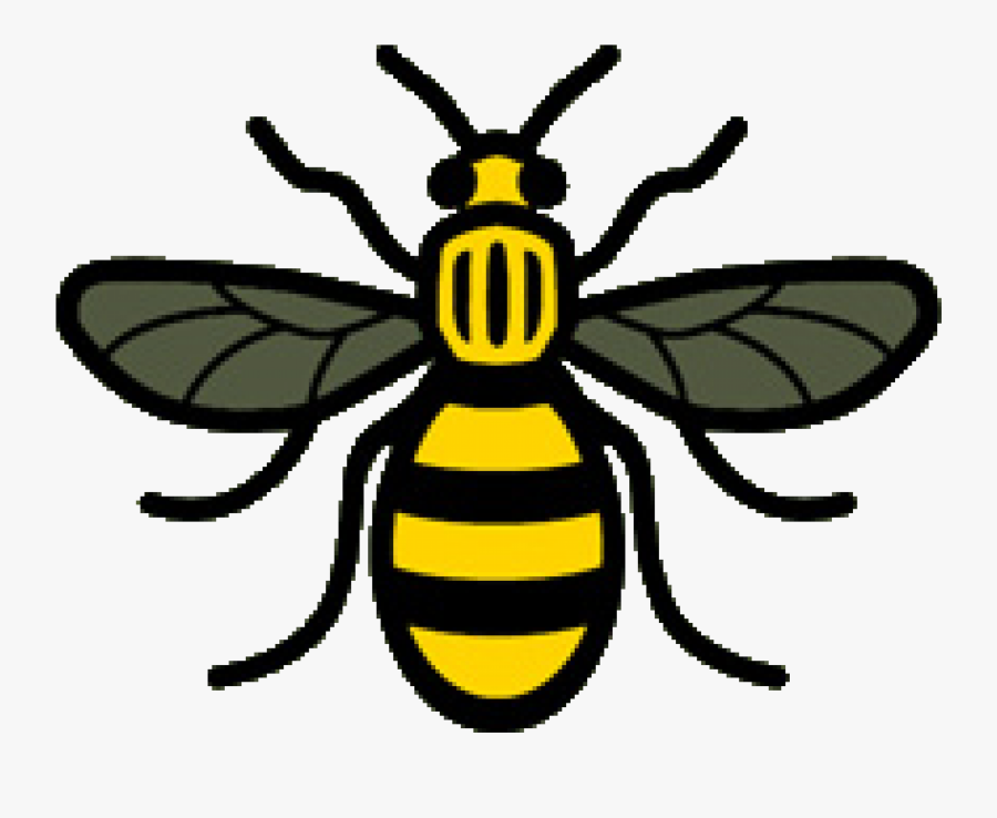 Bee, Home Kingfisher Special School - Manchester Worker Bee, Transparent Clipart