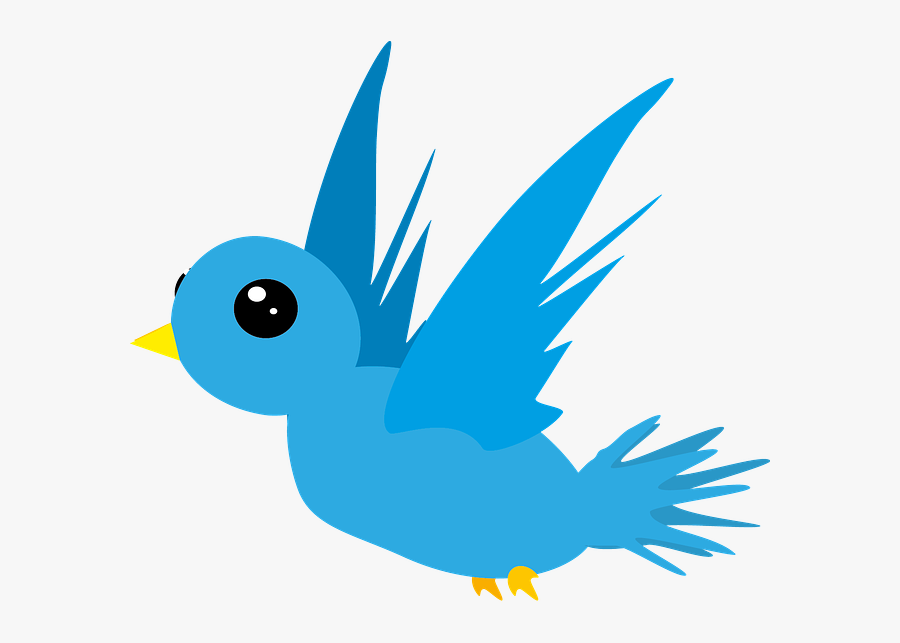 Cartoon A Bird Clipart, Transparent Clipart