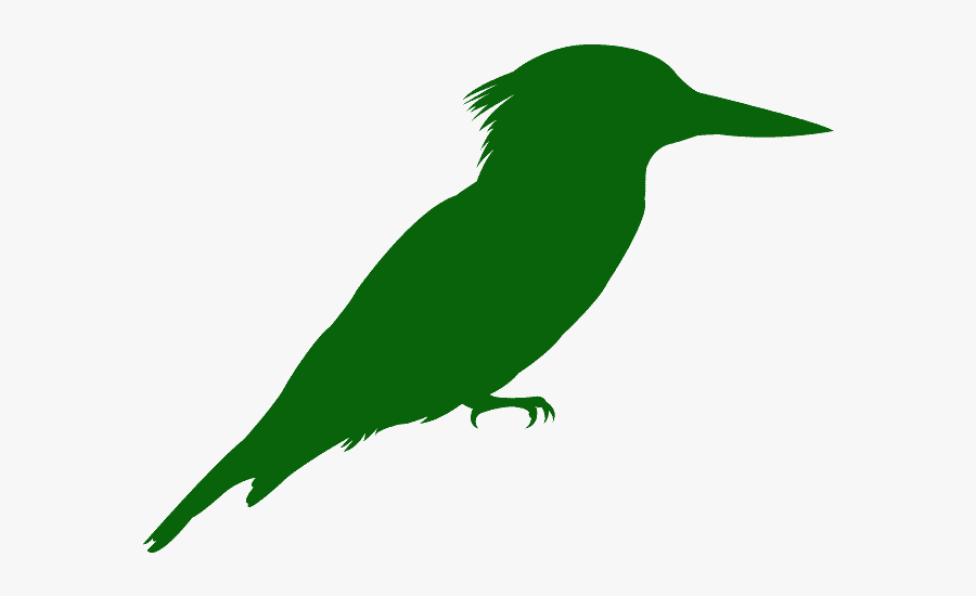 Kingfisher Silhouette, Transparent Clipart