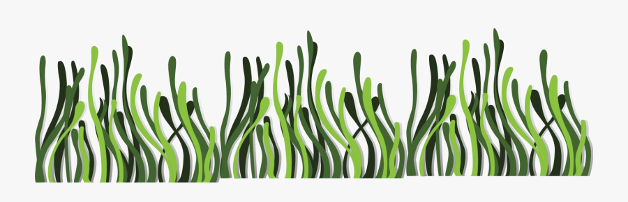 Seaweed Euclidean Vector Deep Sea - Sea Grass Vector Background, Transparent Clipart