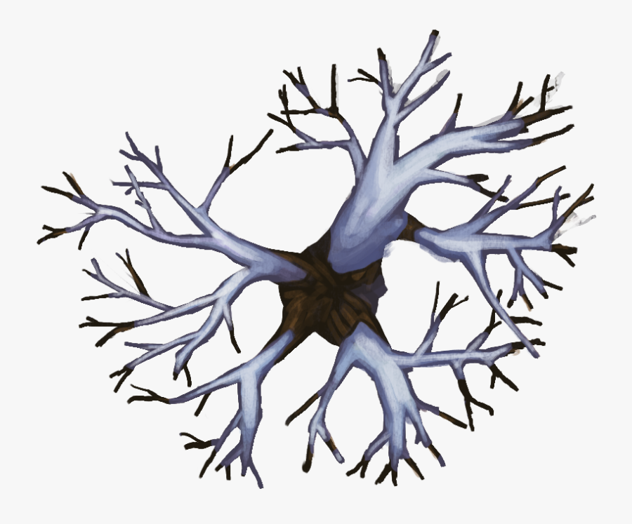 Np03 Treedecid 30x25[nature, Outside, External, Environment,, Transparent Clipart