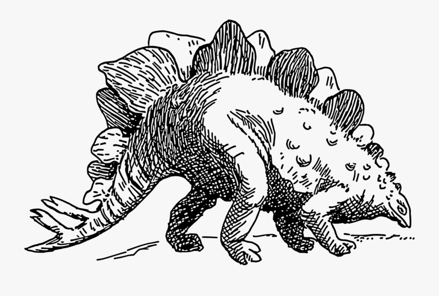 Art,monochrome Photography,carnivoran - Stegosaurus Clip Art Black And White, Transparent Clipart