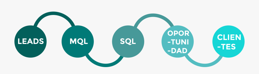 Circle, Transparent Clipart