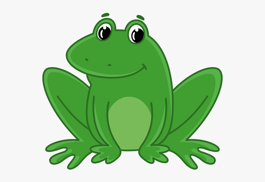 Bullfrog, Transparent Clipart