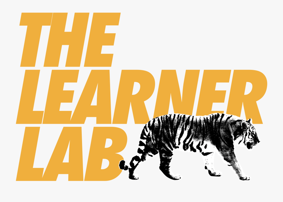 Siberian Tiger, Transparent Clipart