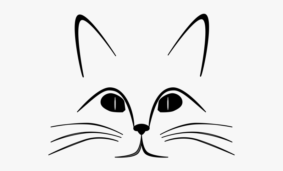 Cat Face Outline - Sense Organs Of Animals, Transparent Clipart