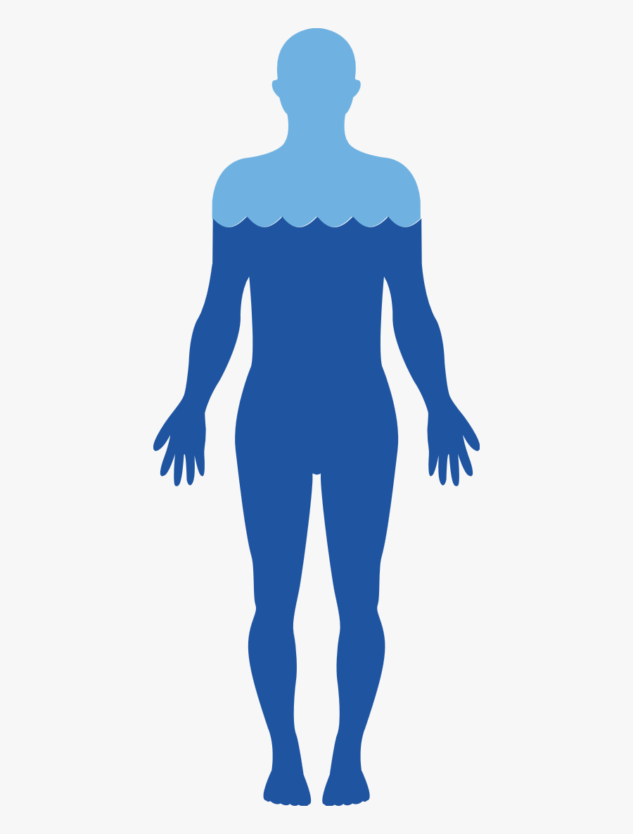 Body Free Png Image - Human Body Water Transparent, Transparent Clipart