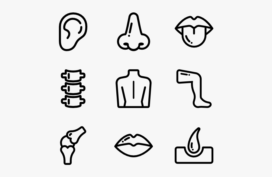 Human Body Outline - Human Body Parts Icon, Transparent Clipart