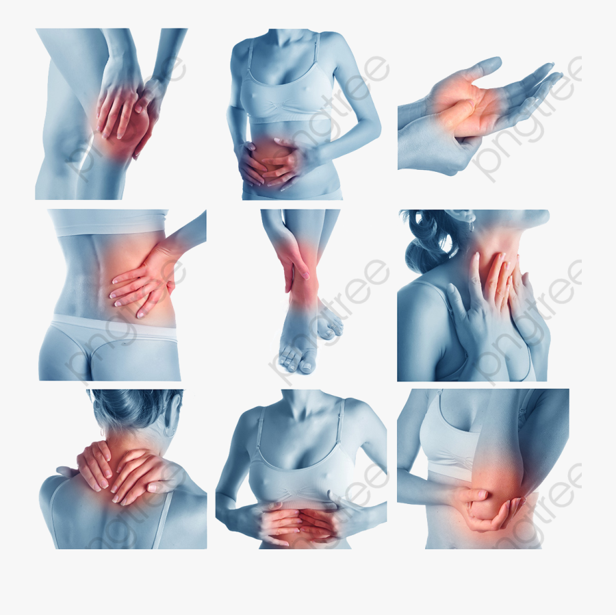 Parts Of The Body Clipart, Transparent Clipart