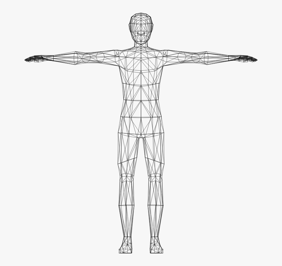 Art,skeleton,back - Transparent Human Body Clipart, Transparent Clipart