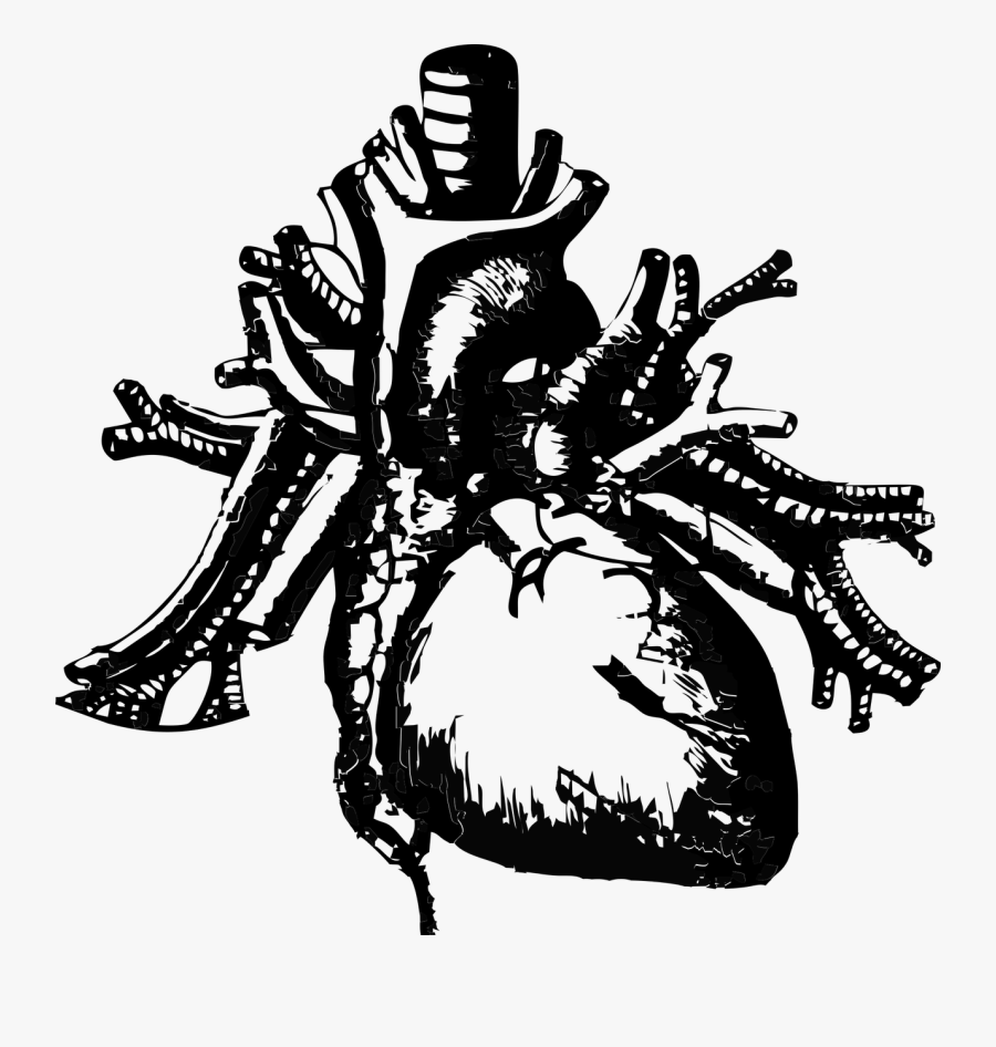 Transparent Human Heart Clipart Black And White - Telltale Heart Poster, Transparent Clipart