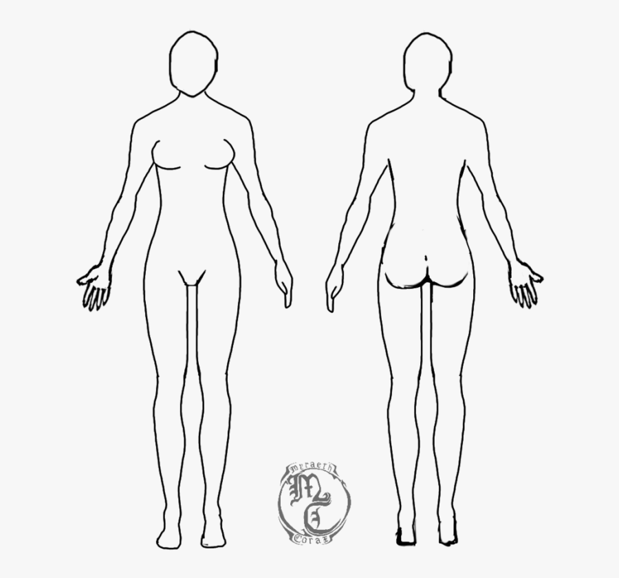 Human Body Outline Png - Human Body Outline Female, Transparent Clipart