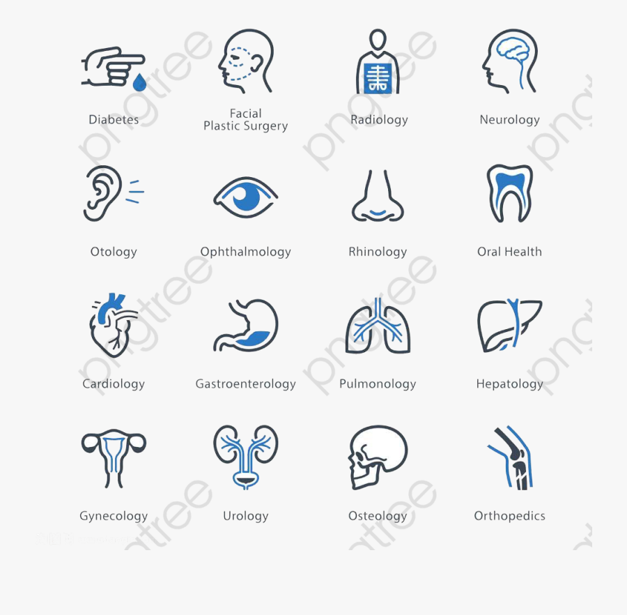 Transparent Human Body Clipart - Especialidades De La Salud, Transparent Clipart