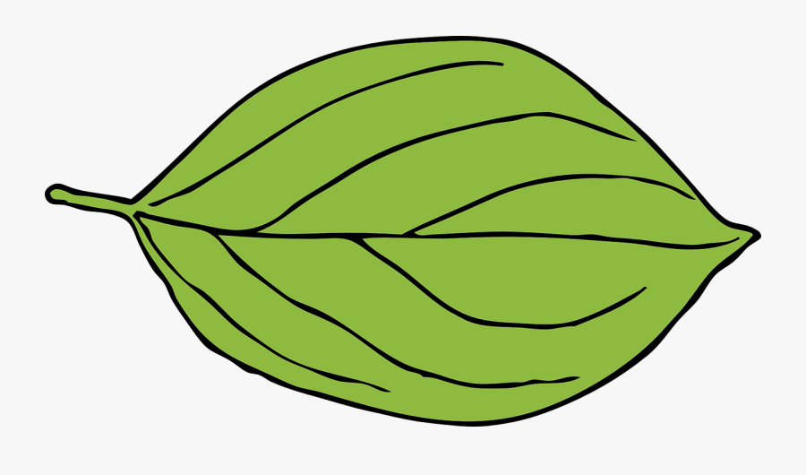 Oval Leaf 2 - Dark Green Leaf Clipart, Transparent Clipart