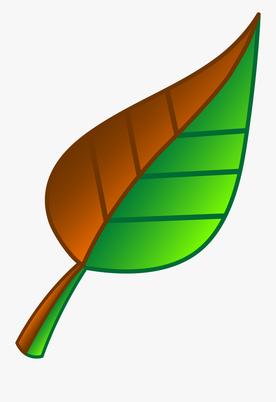Leaf Of Apple Clipart Green Free Download Clip Art - Green And Brown Leaf, Transparent Clipart