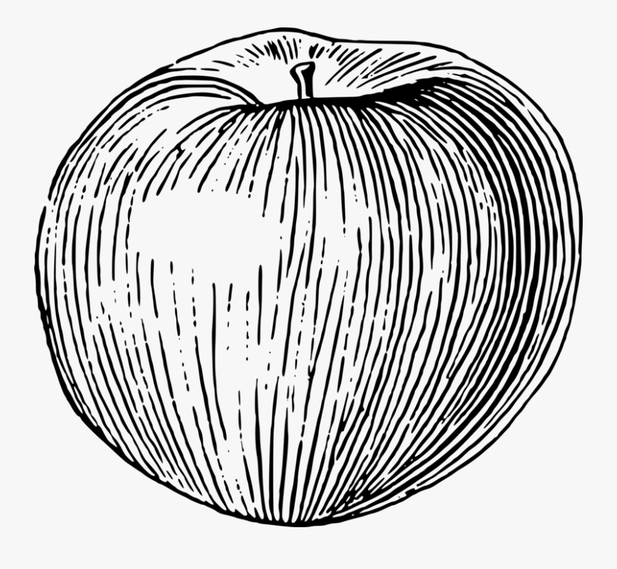 Line Art,plant,symmetry - Apple Drawing Using Line, Transparent Clipart