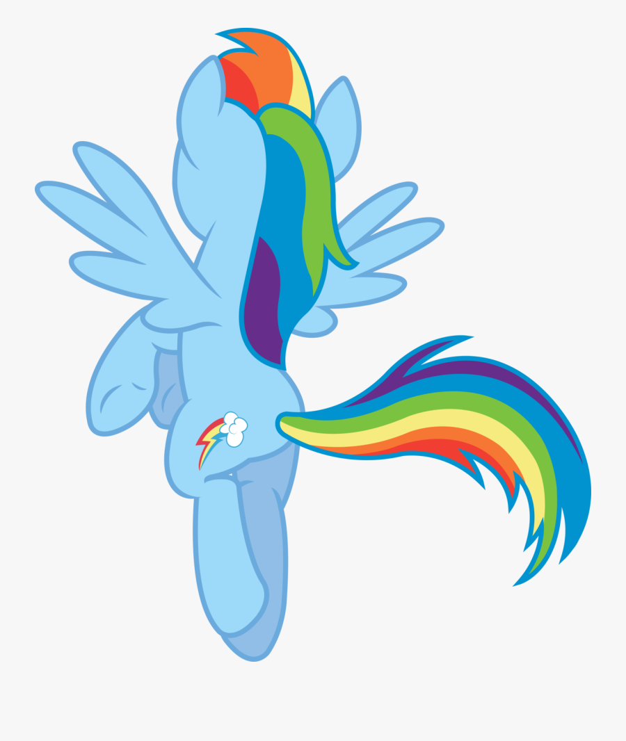 Computer Clipart Clipartlook - Mlp Rainbow Dash Back, Transparent Clipart