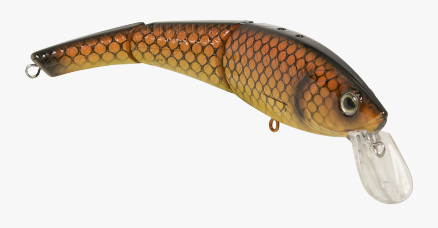 Transparent Fish Hook Clipart - Marine Biology, Transparent Clipart