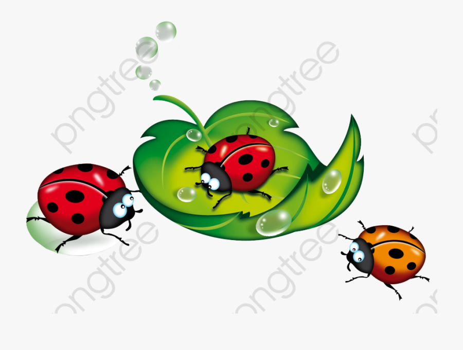 Ladybug Clipart Vintage - Клипарт Лето На Прозрачном Фоне, Transparent Clipart