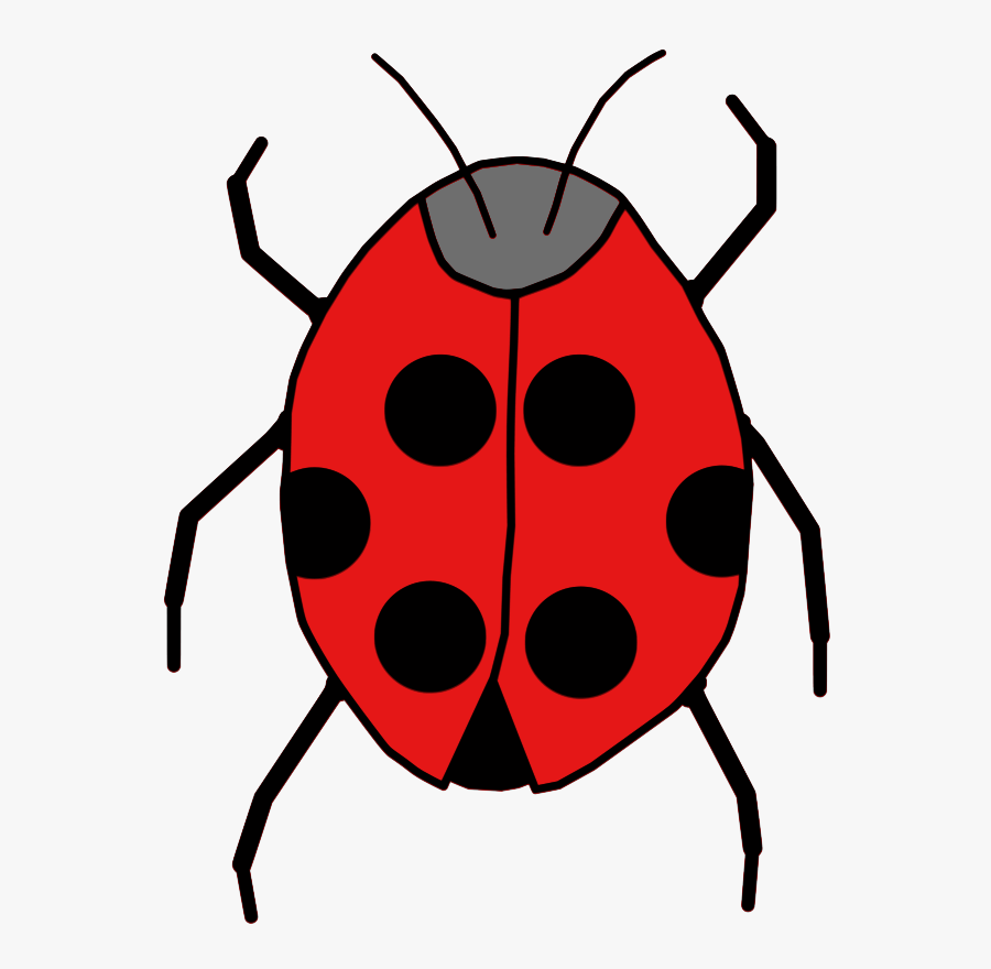 Ladybug - Cartoon Insects Or Animals, Transparent Clipart