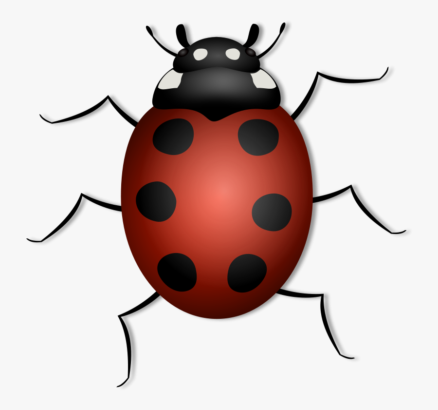 Ladybug - Animals Has 6 Legs, Transparent Clipart