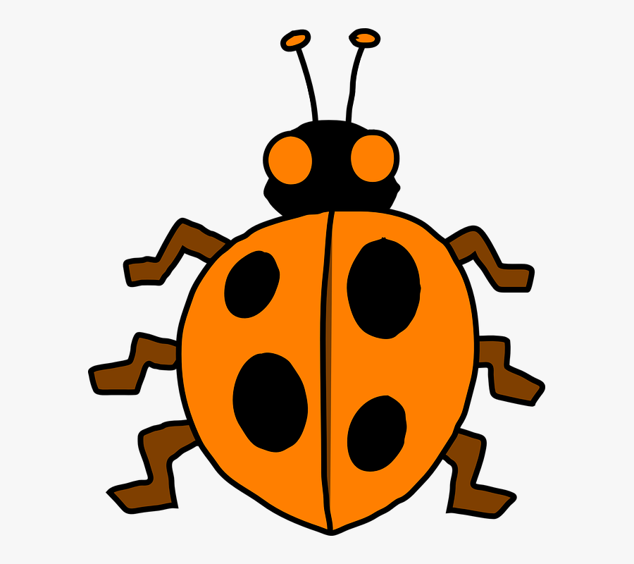 Ladybug Clipart 10 Orange - รูป การ์ตูน สัตว์ สี ส้ม, Transparent Clipart