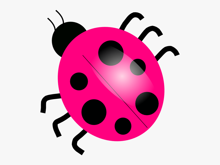 Real - Pink - Ladybugs - Clipart Ladybug, Transparent Clipart