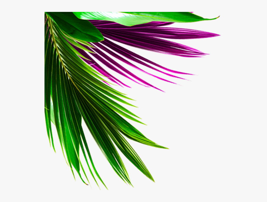 Hotel Top Left 3"
 Width="600"
 Height="600"
 Class="object-fit - Graphic Design, Transparent Clipart