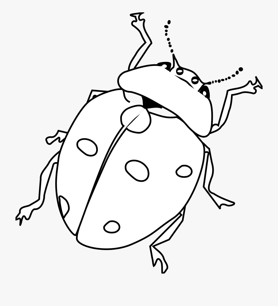Ladybug Line Art - Lakaran Ladybird, Transparent Clipart