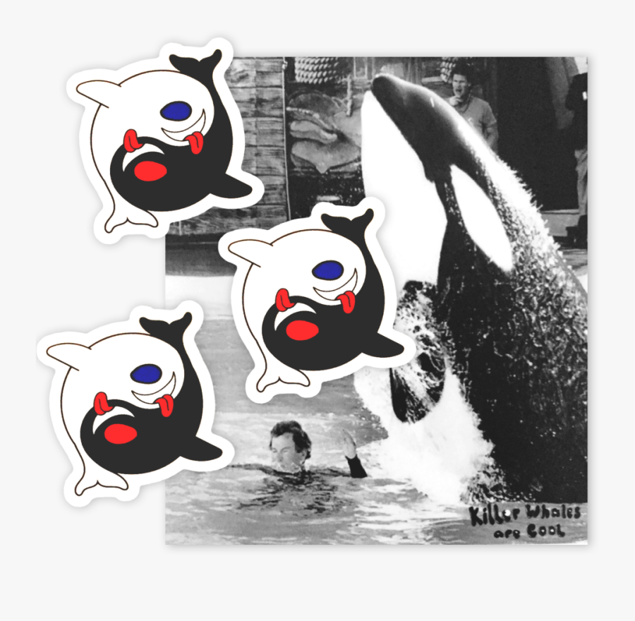 Pool Party Sticker Pack"
 Class="lazyload Lazyload - Cartoon, Transparent Clipart