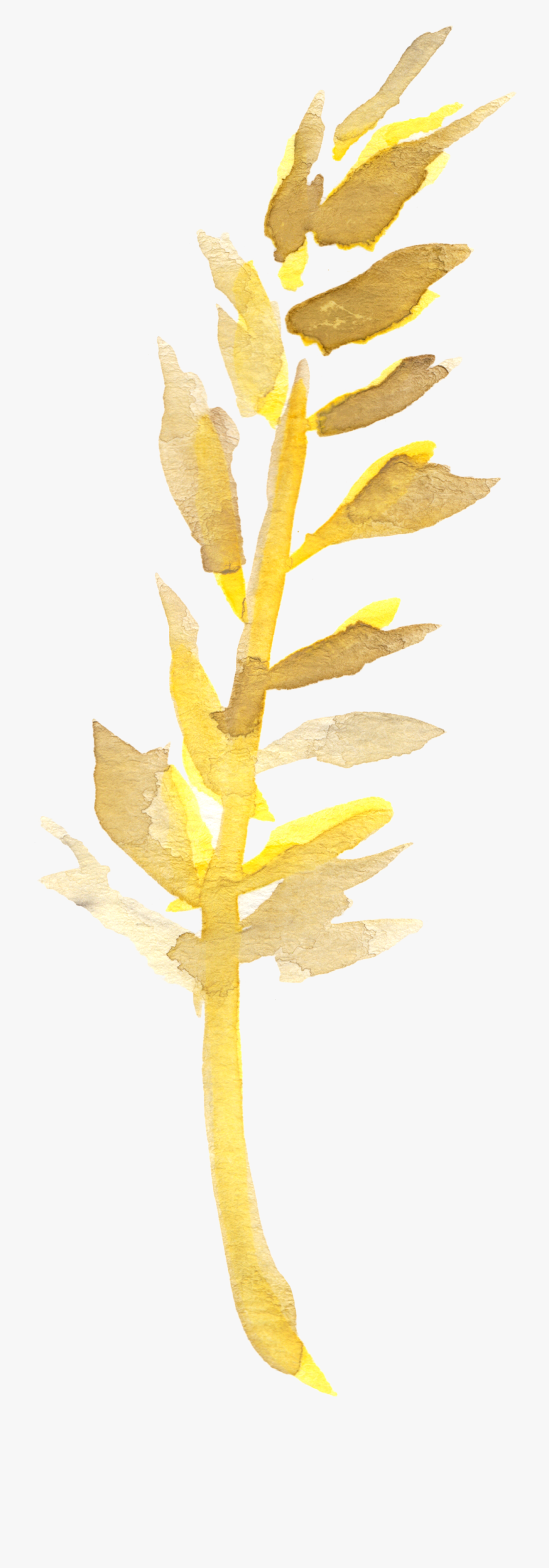 Free Fall Watercolor Floral Clip Art- So Pretty - Tree, Transparent Clipart