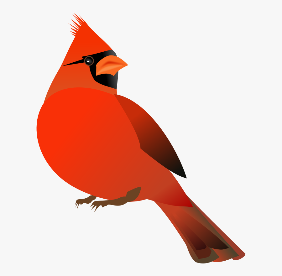 Red Cardinal - Cardinal Clipart Free , Free Transparent Clipart - Clipart.....